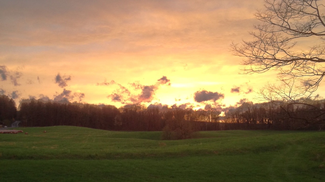 Photo of Others in Spencer