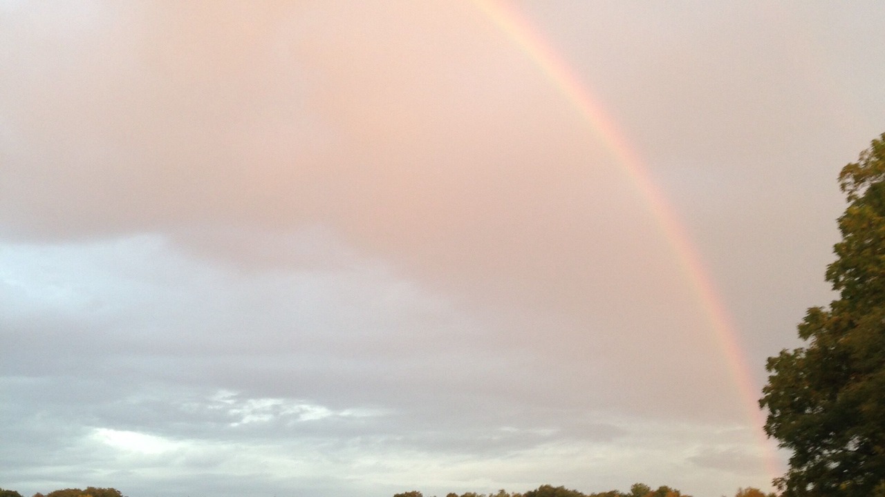 Photo of Others in Spencer