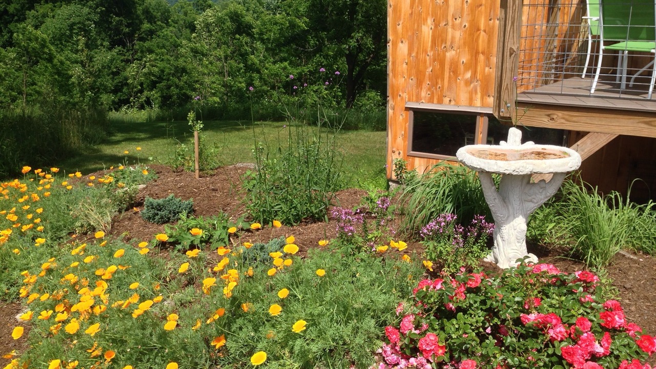 Photo of Patio Balcony in Spencer