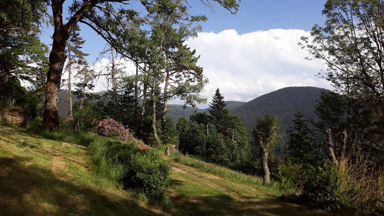 Photo of Outdoor in Saint-Pierre-la-Bourlhonne