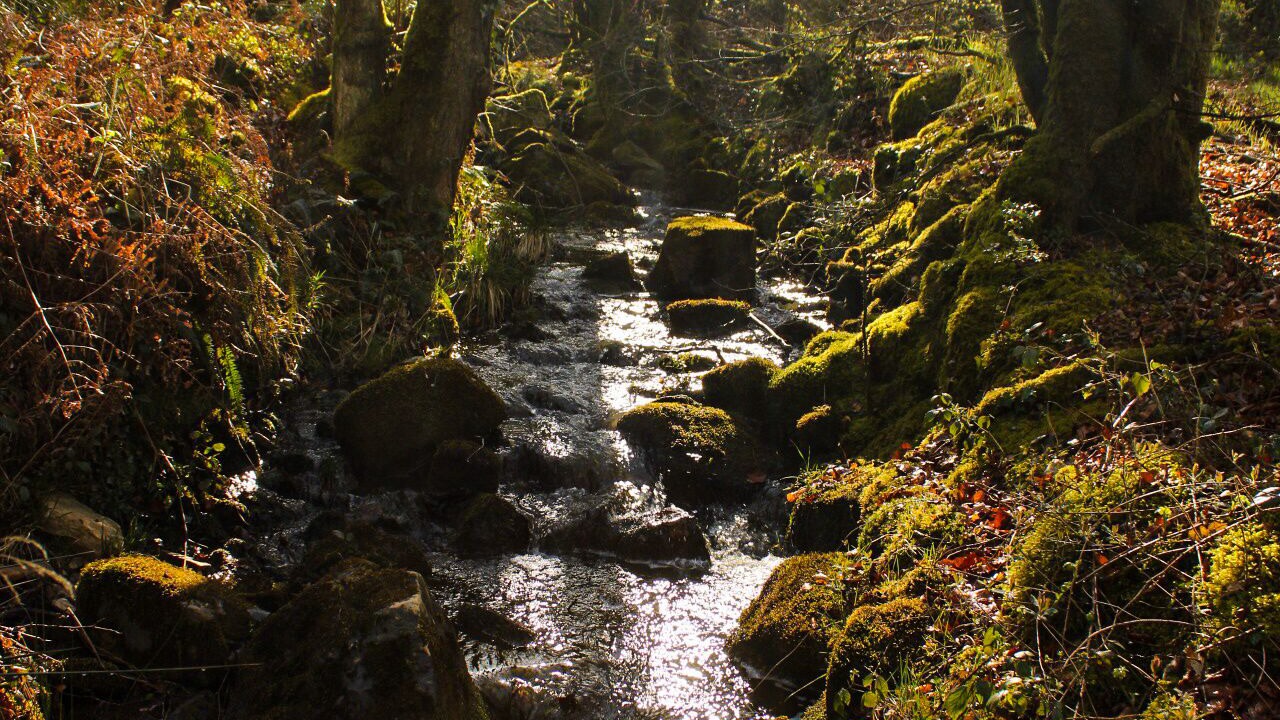 Photo of Outdoor in Vautorte