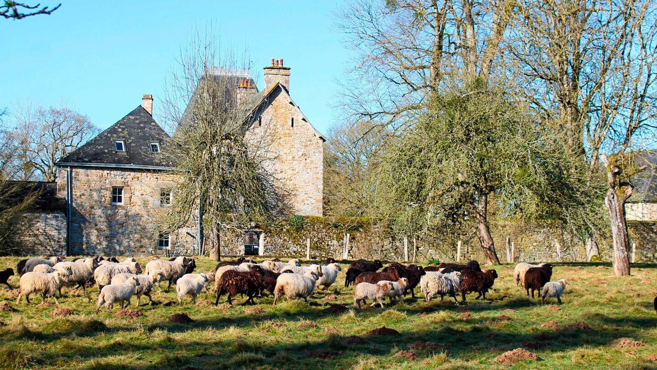 Photo of Outdoor in Vautorte