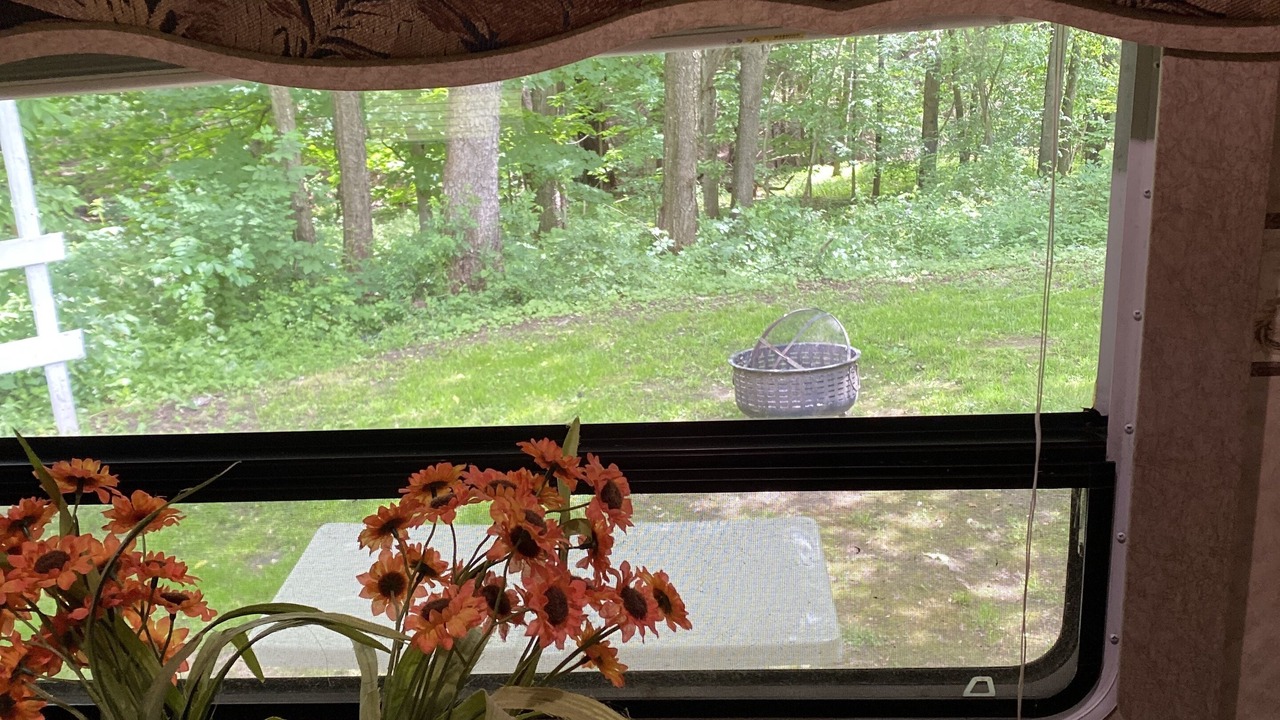 Photo of Others in Dewittville
