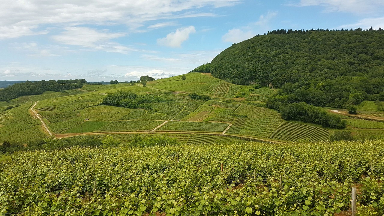 Photo of Outdoor in Bar-sur-Seine