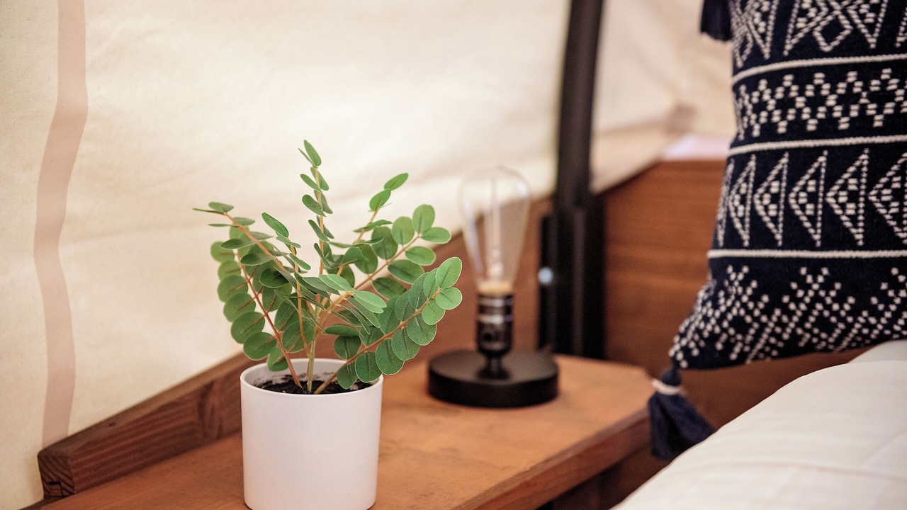 Photo of Others in Benton