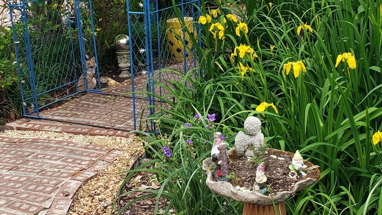 Photo of Outdoor in Hertford
