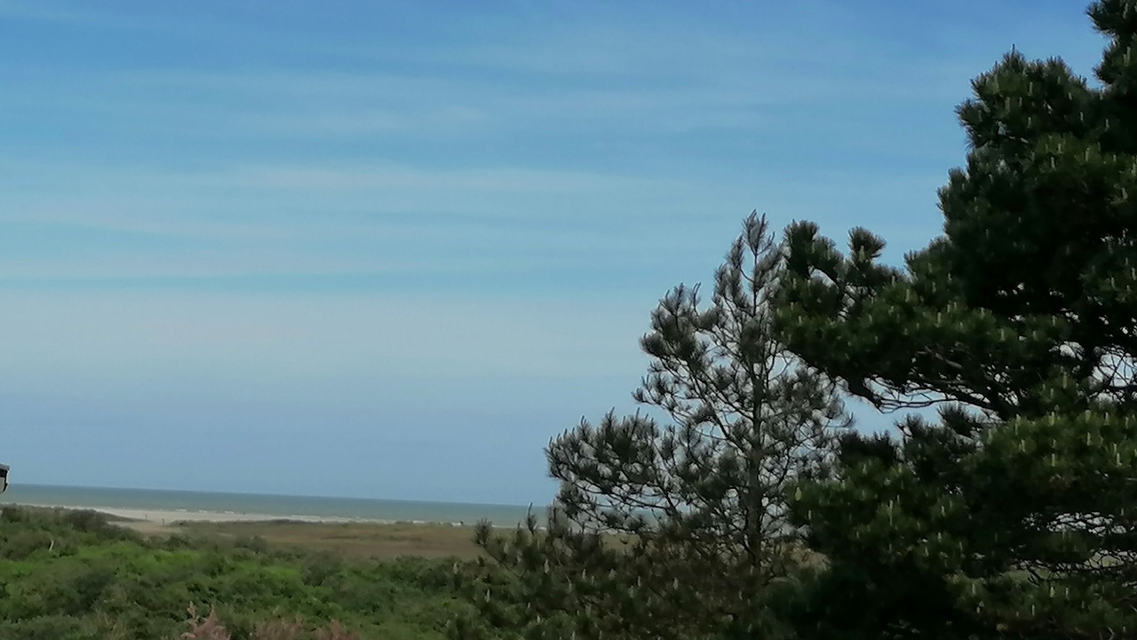 Photo of Others in Oye-Plage