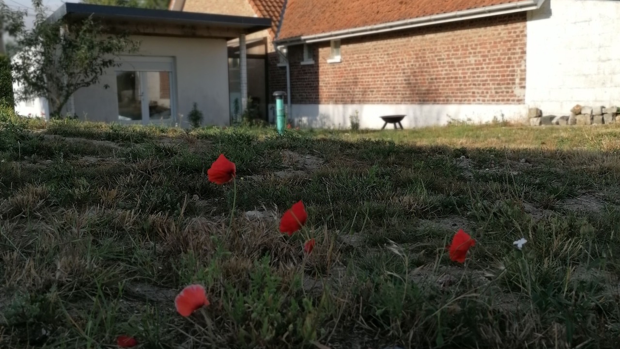 Photo of Outdoor in Oye-Plage