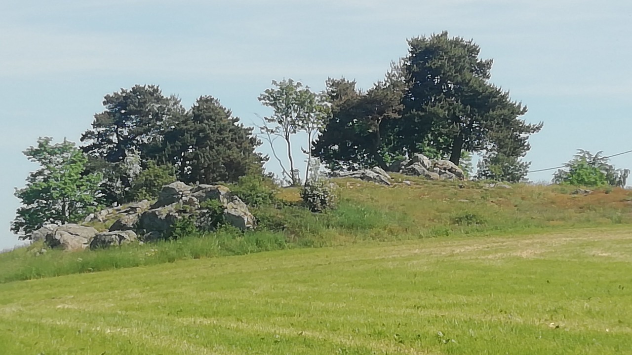 Photo of Others in Monistrol-sur-Loire