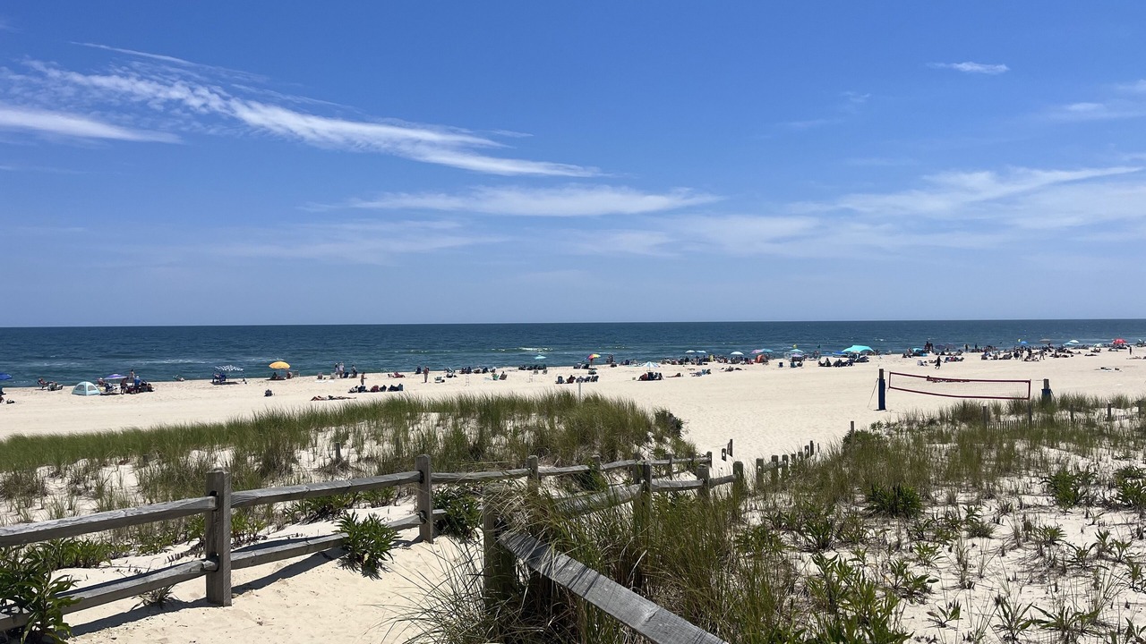 Photo of Others in Ship Bottom