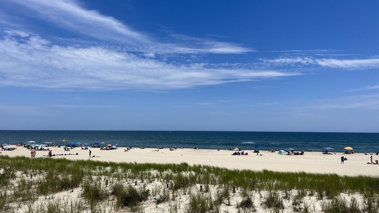 Photo of Others in Ship Bottom