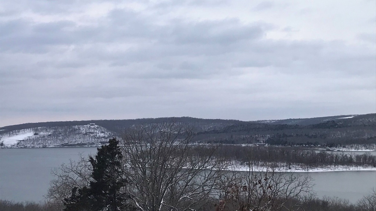 Photo of Others in Pettit
