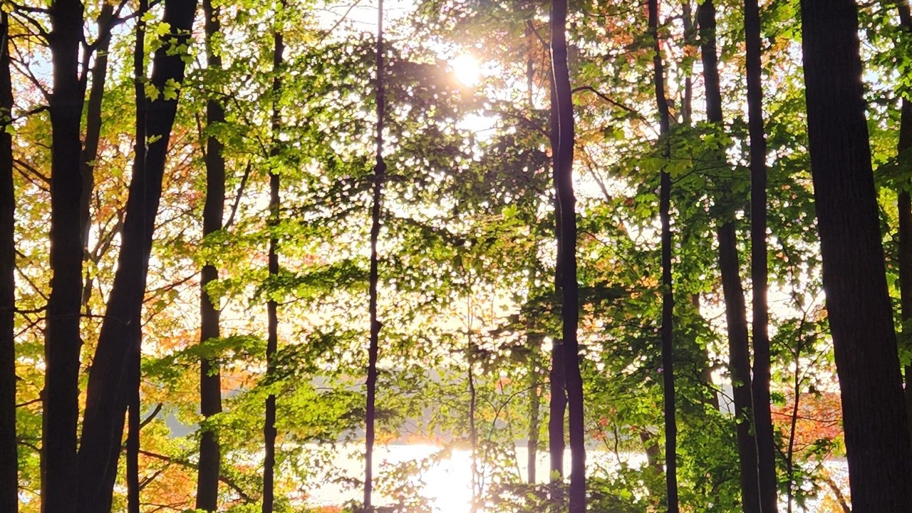 Photo of Others in Brewster