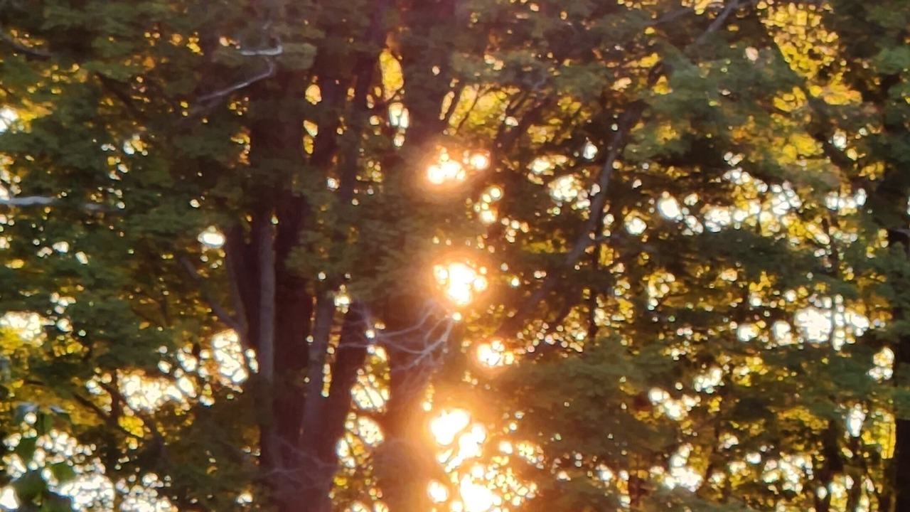 Photo of Others in Brewster