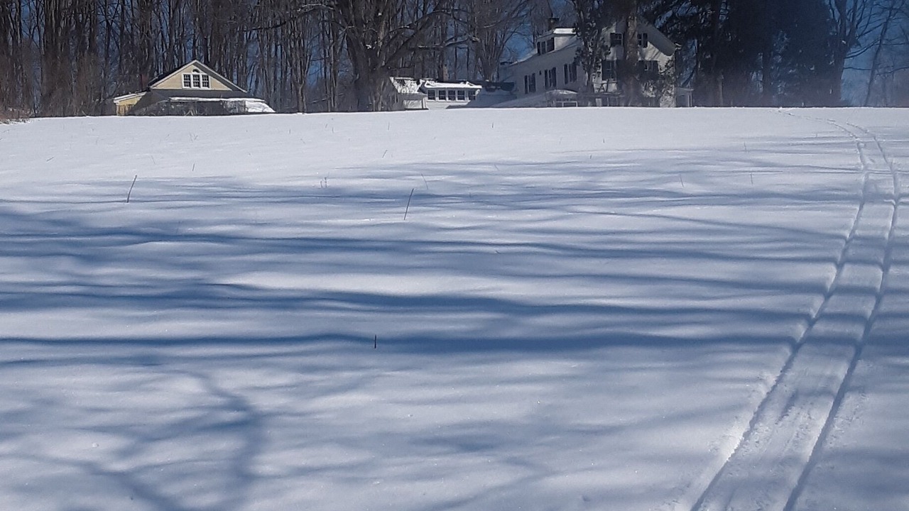 Photo of Others in Brewster