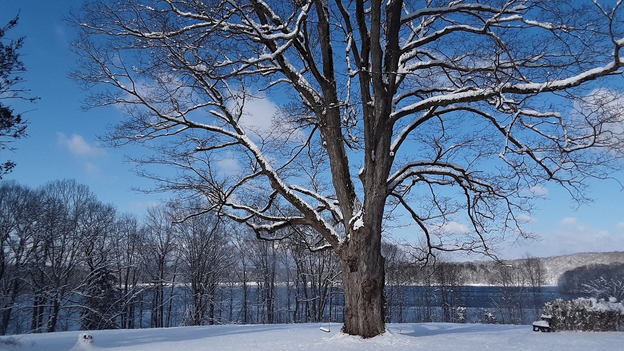 Photo of Outdoor in Brewster