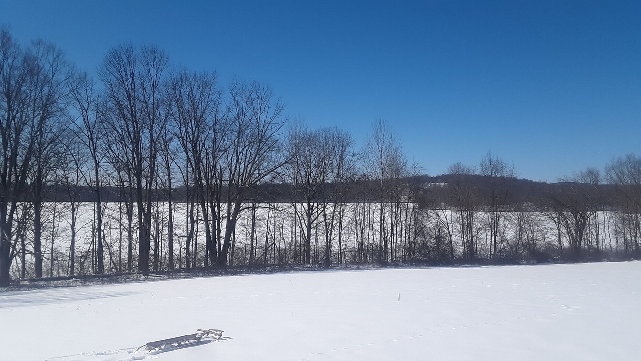 Photo of Others in Brewster