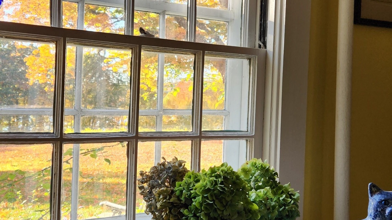 Photo of Others in Brewster