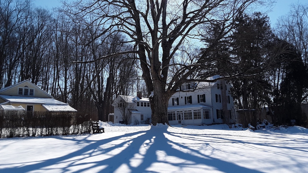 Photo of Outdoor in Brewster