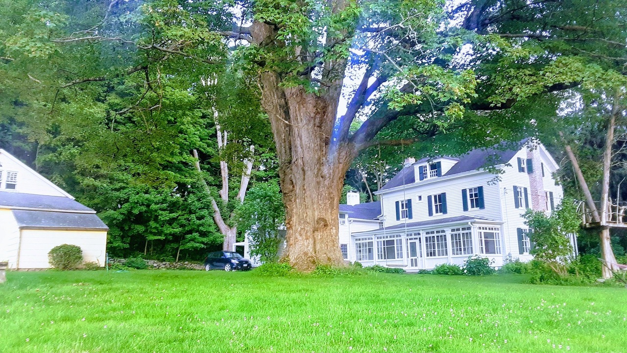 Photo of Outdoor in Brewster