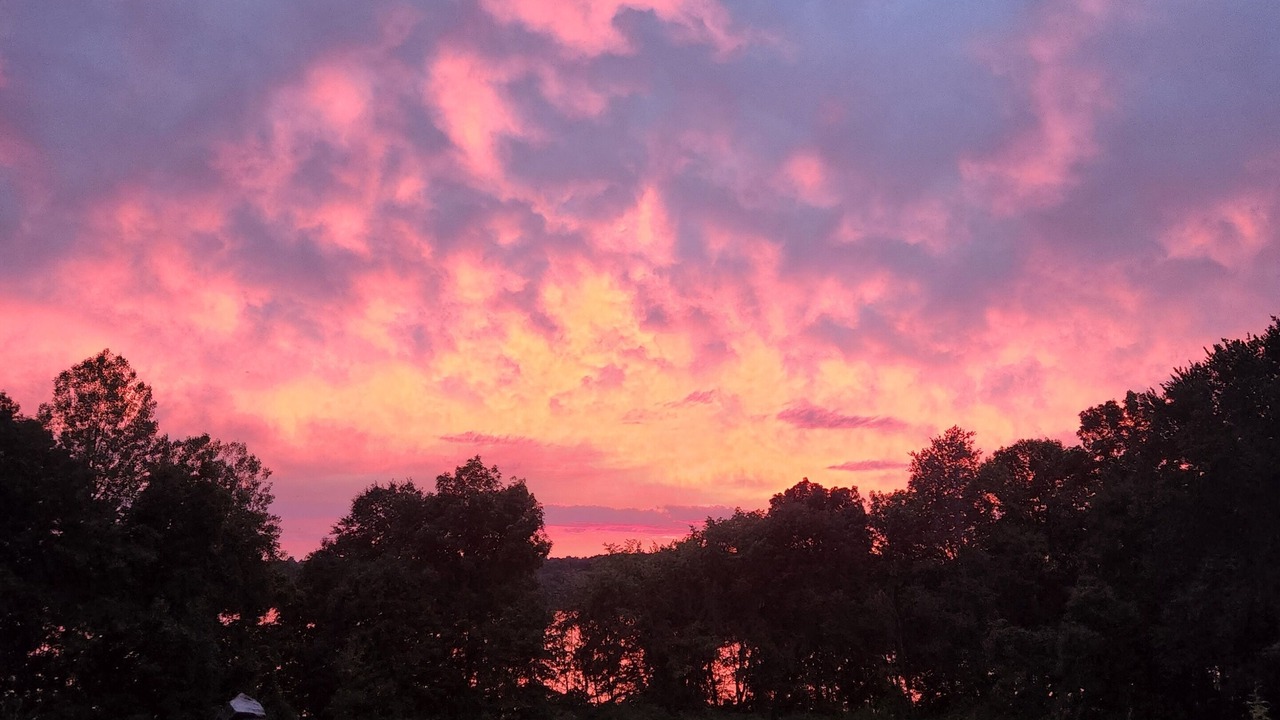 Photo of Others in Brewster