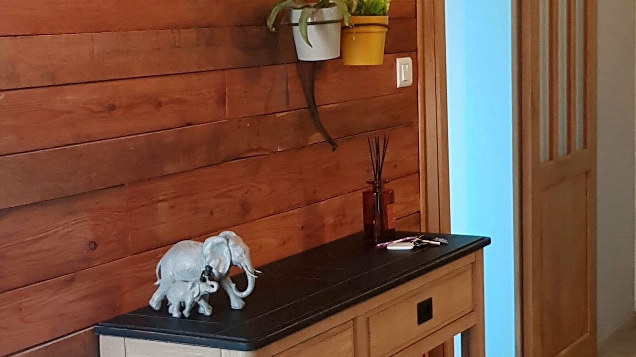 Photo of Others in Petite-Synthe