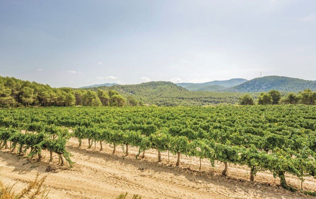 Photo of Others in Avinyonet del Penedes