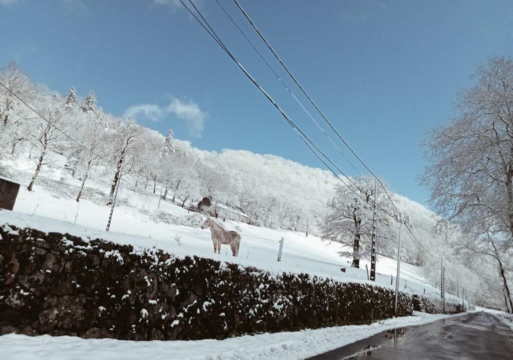 Photo of Others in Saint-Projet-de-Salers