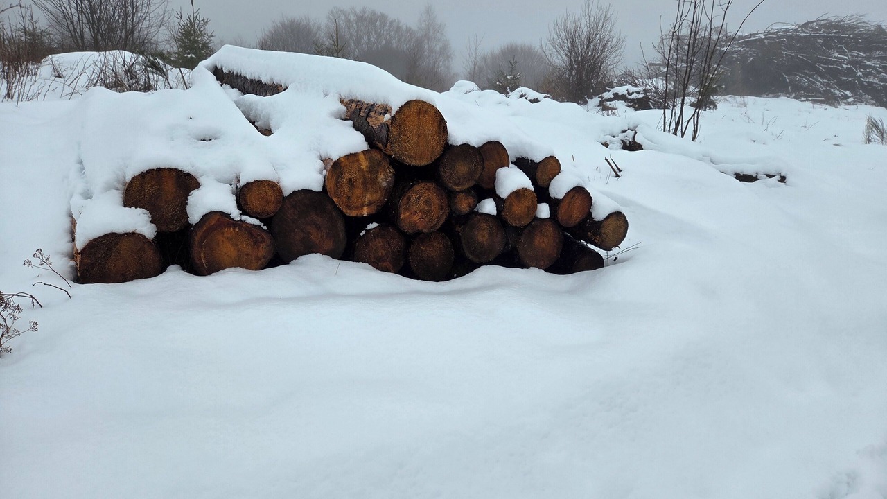 Photo of Others in Saint-Projet-de-Salers