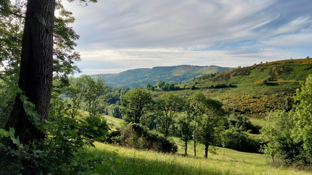 Photo of Outdoor in Saint-Projet-de-Salers