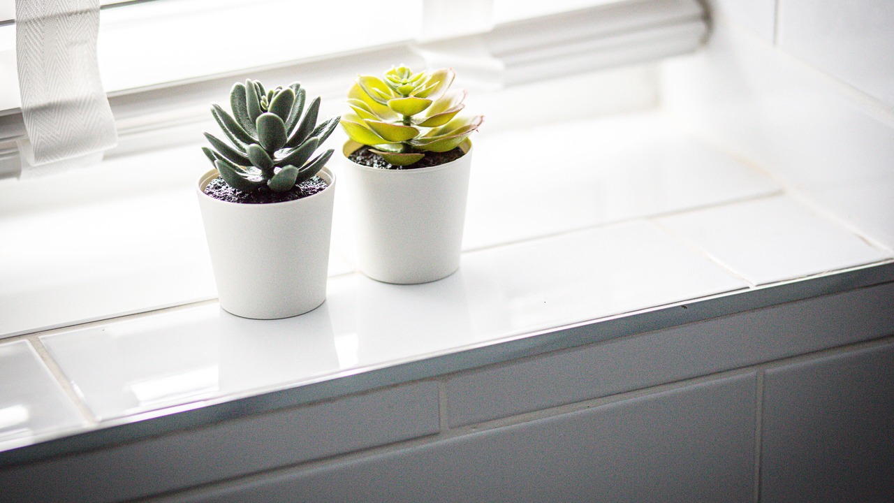 Photo of Others in Acocks Green