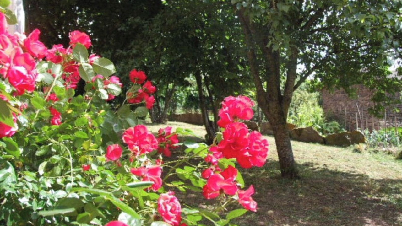 Photo of Outdoor in Martrin