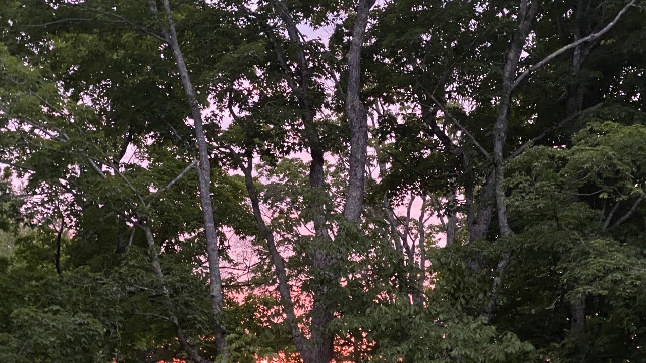 Photo of Outdoor in Brooks