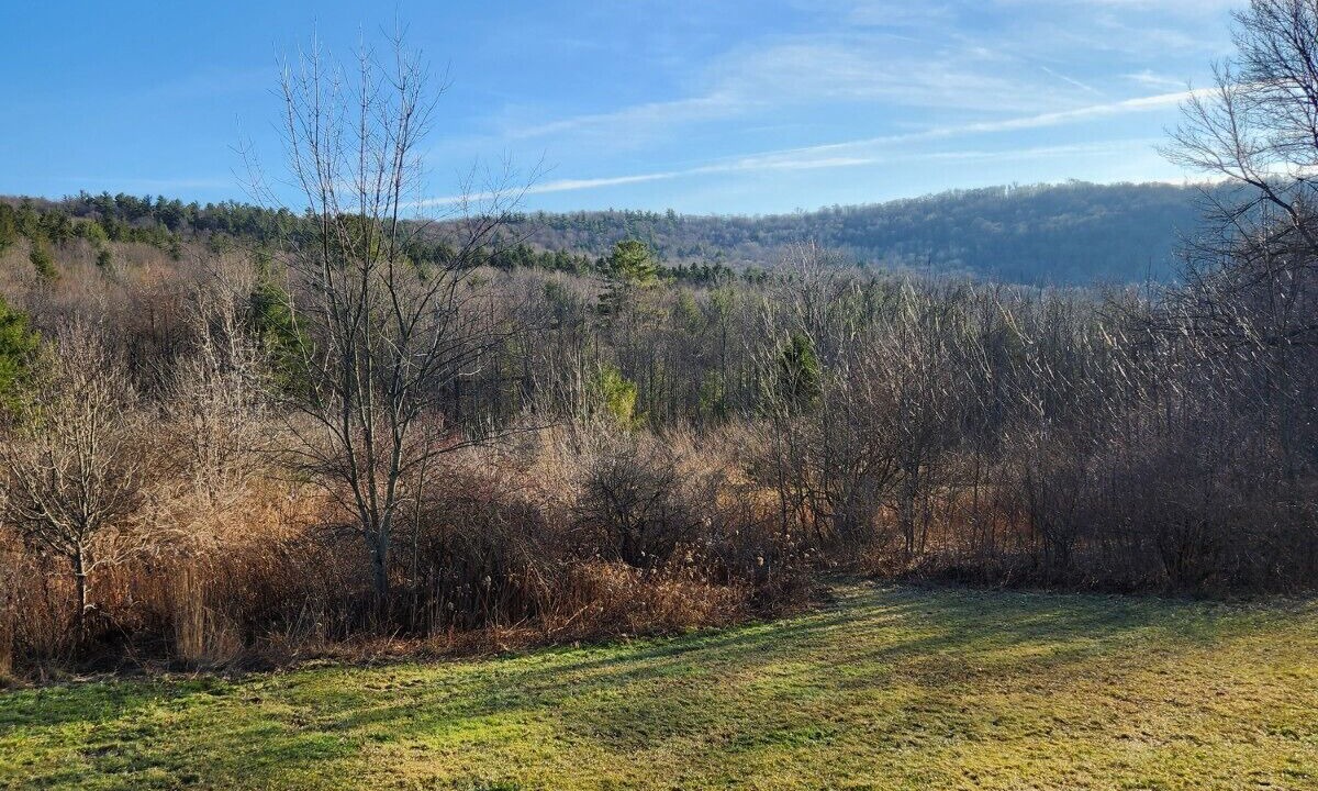 Photo of Others in Dryden