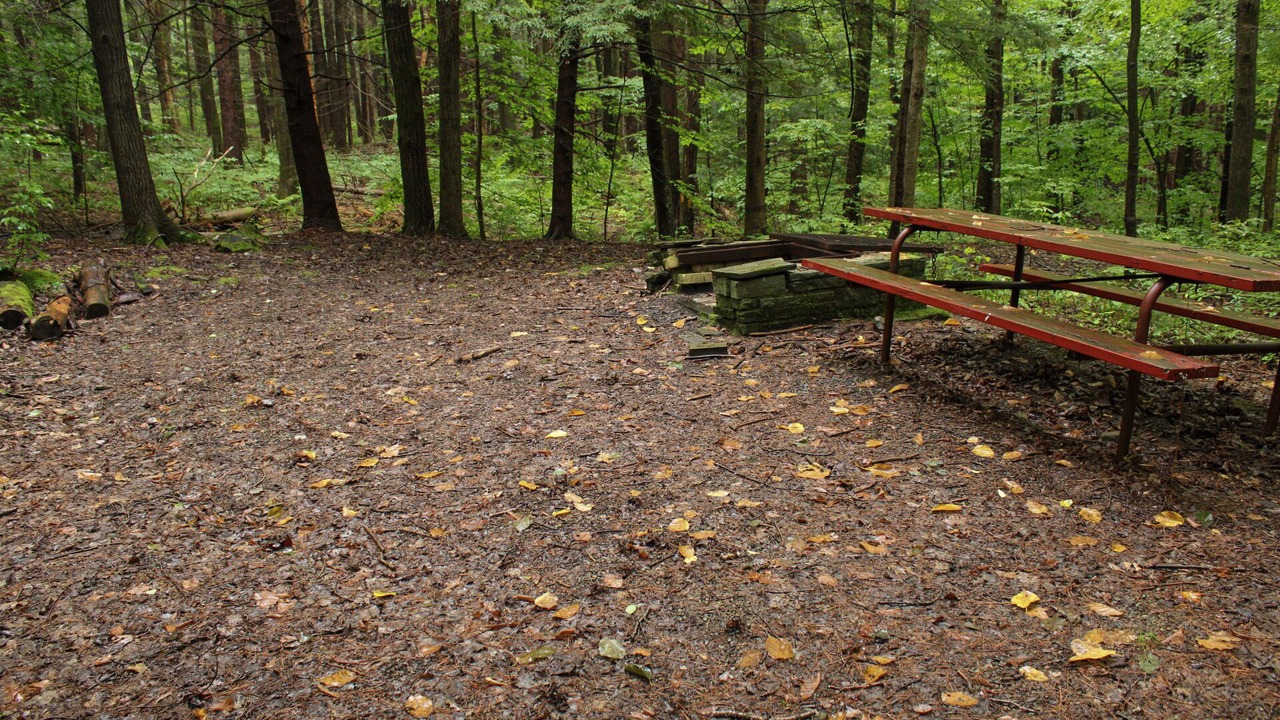 Photo of Others in Dryden