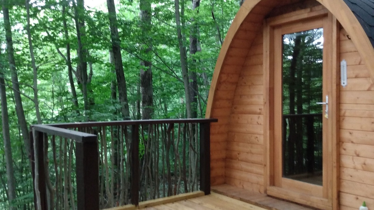 Photo of Outdoor in Dryden