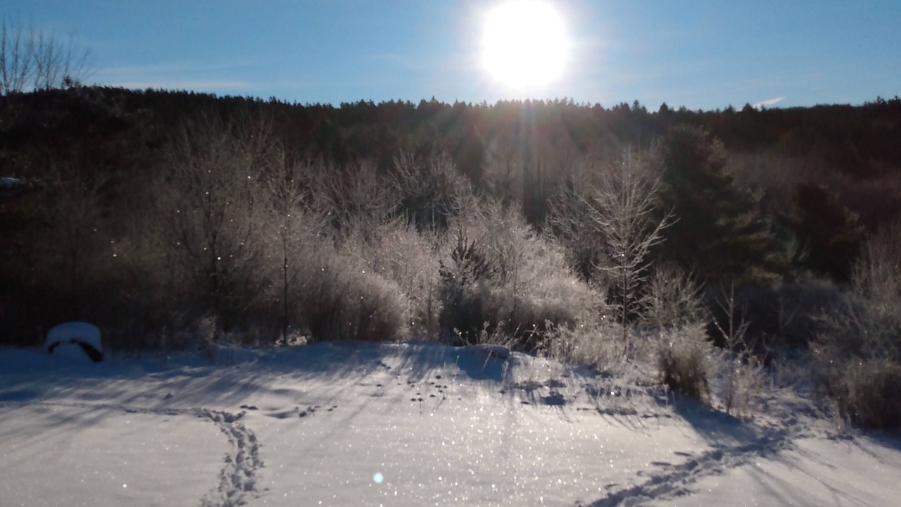 Photo of Others in Dryden