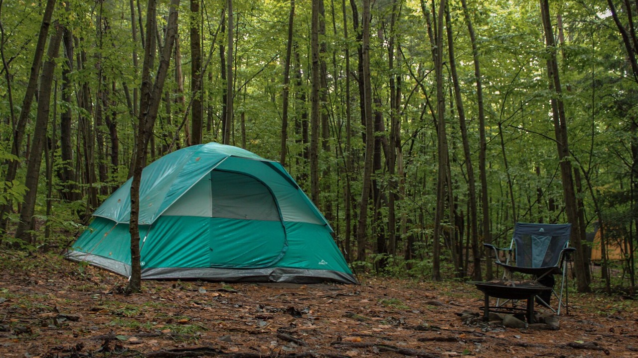 Photo of Others in Dryden