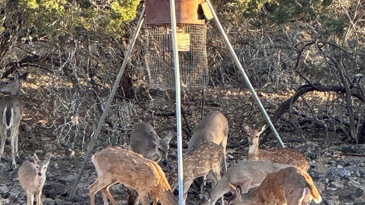 Photo of Others in Fredericksburg