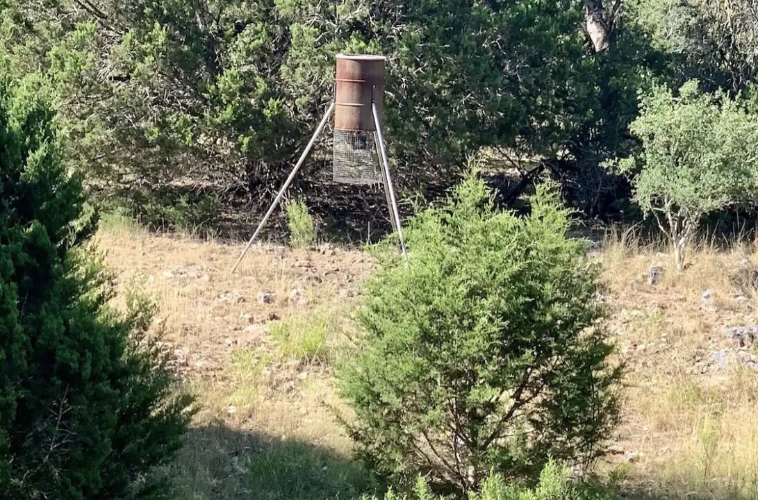 Photo of Outdoor in Fredericksburg
