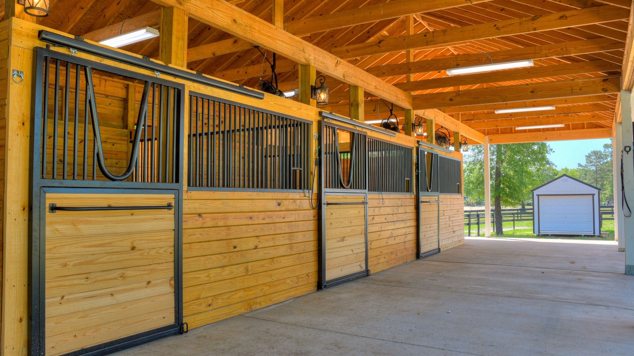 Photo of Outdoor in Aiken