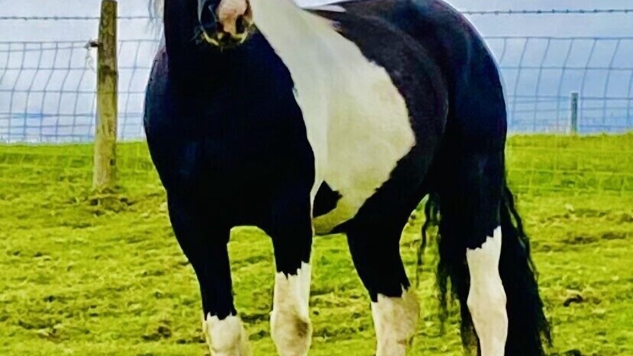 Photo of Others in Llanfair-Dyffryn-Clwyd