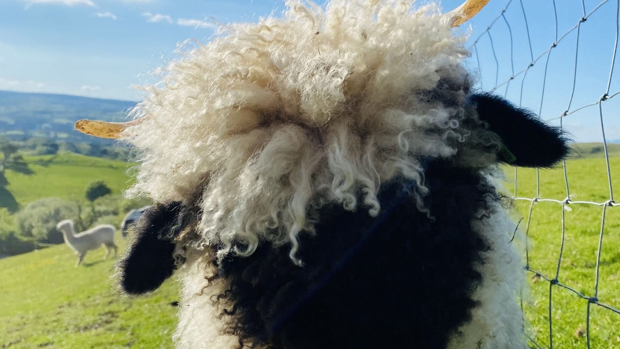 Photo of Outdoor in Llanfair-Dyffryn-Clwyd