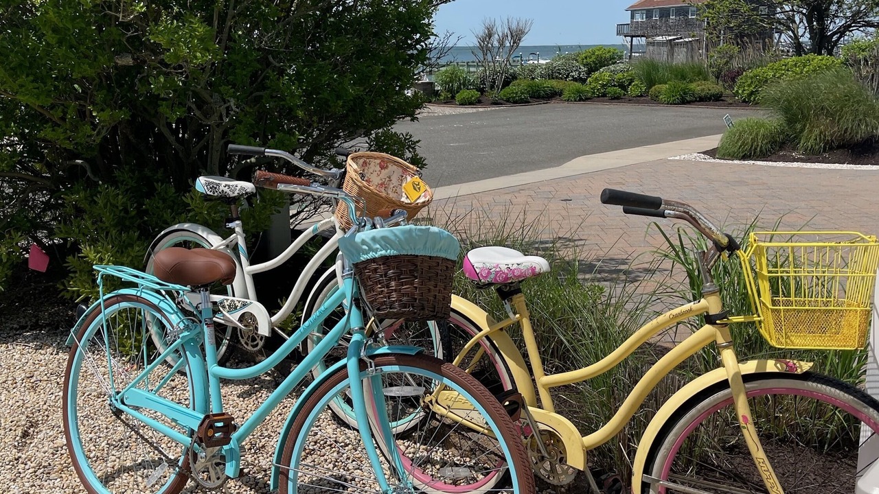 Photo of Others in South Beach Haven