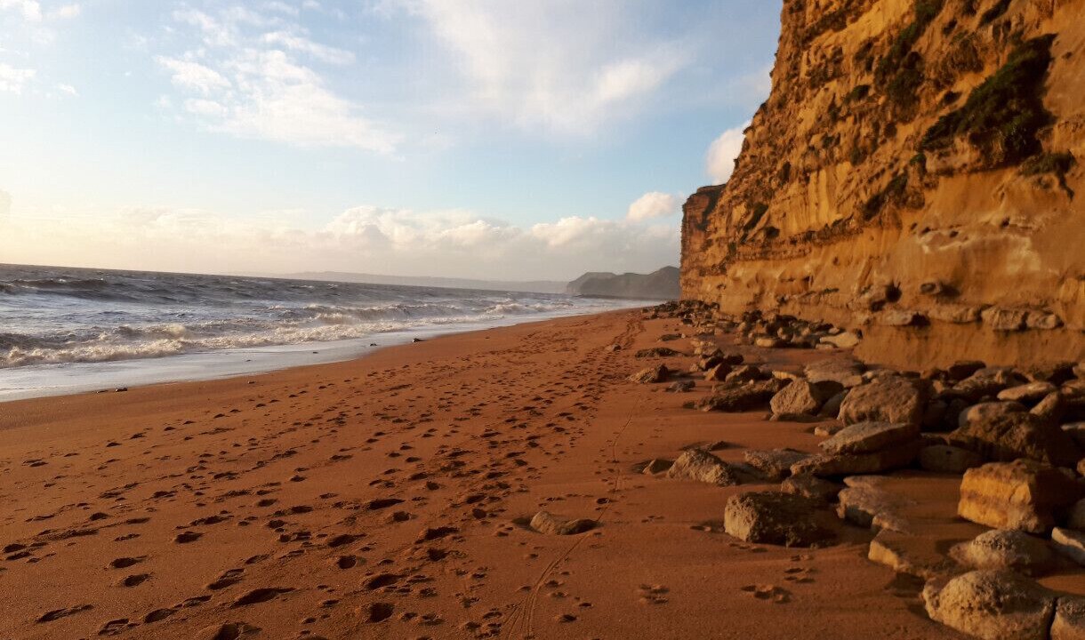 Photo of Others in Bridport