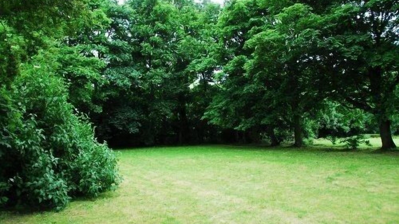 Photo of Others in Hebburn