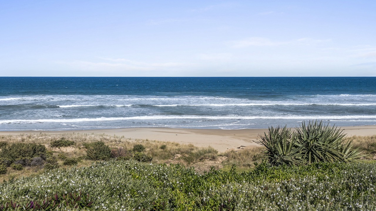 Photo of Others in Apollo Bay