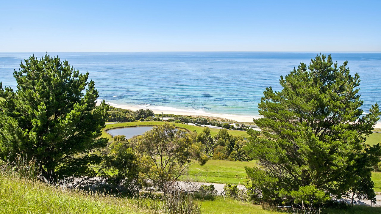 Photo of Others in Apollo Bay