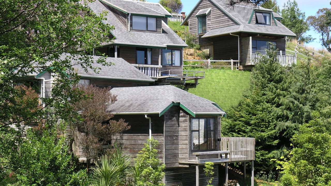 Photo of Outdoor in Thames