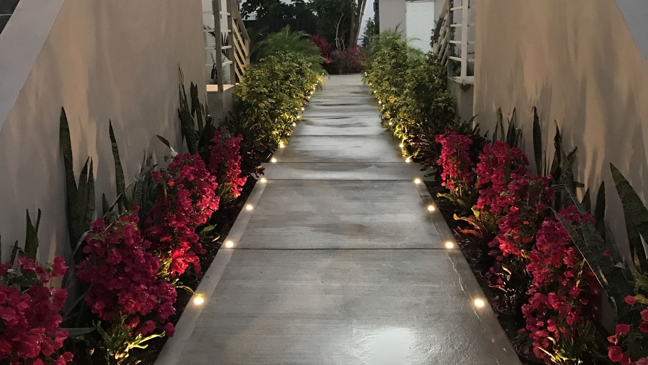 Photo of Outdoor in Flamingo/Lummus